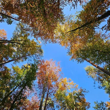Fewo Am Wald Boek Exterior foto