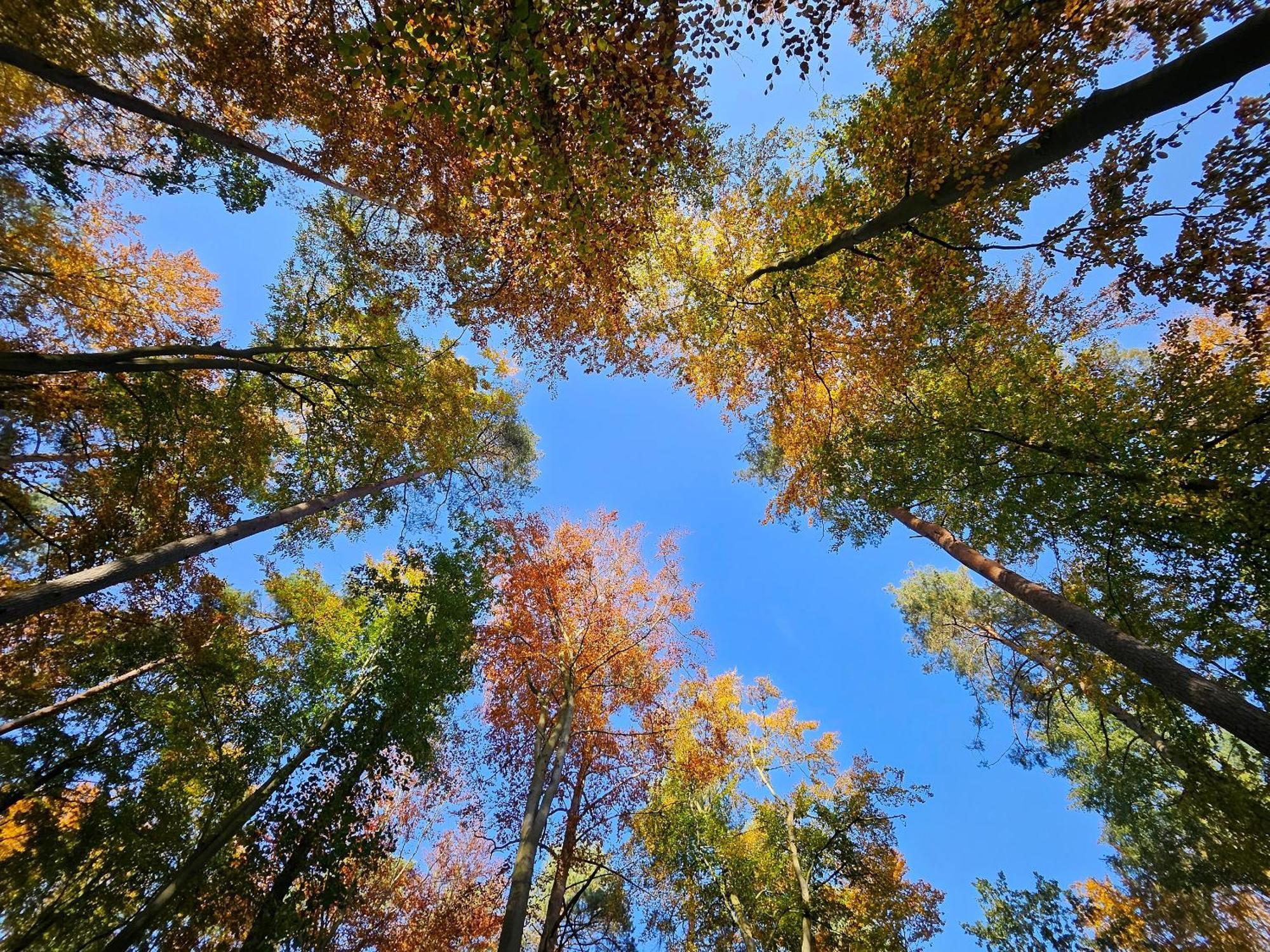 Fewo Am Wald Boek Exterior foto